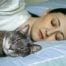 Dormir com Pet pode piorar enxaqueca